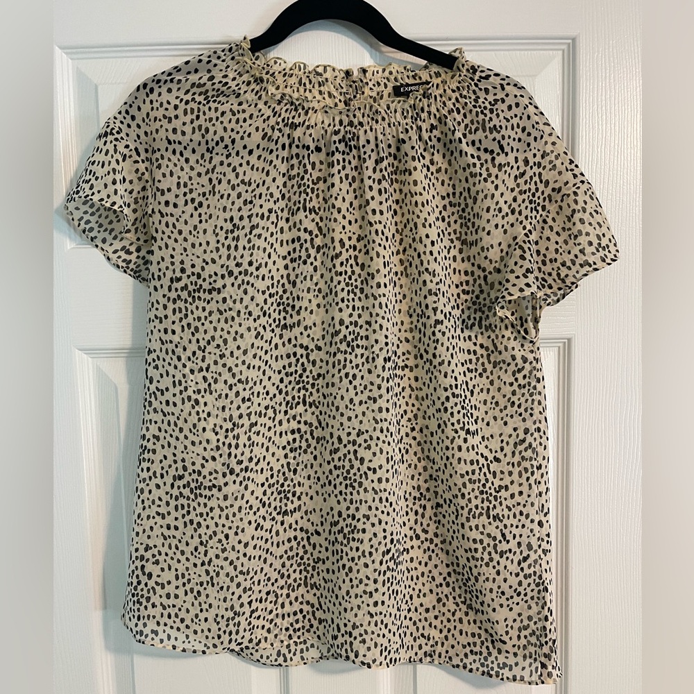 Express Sheer Tee